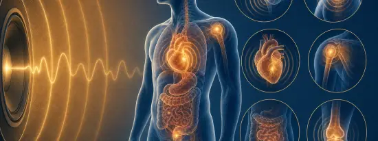 bruit et santé illustration médicale des effets du bruit sur le corps humain